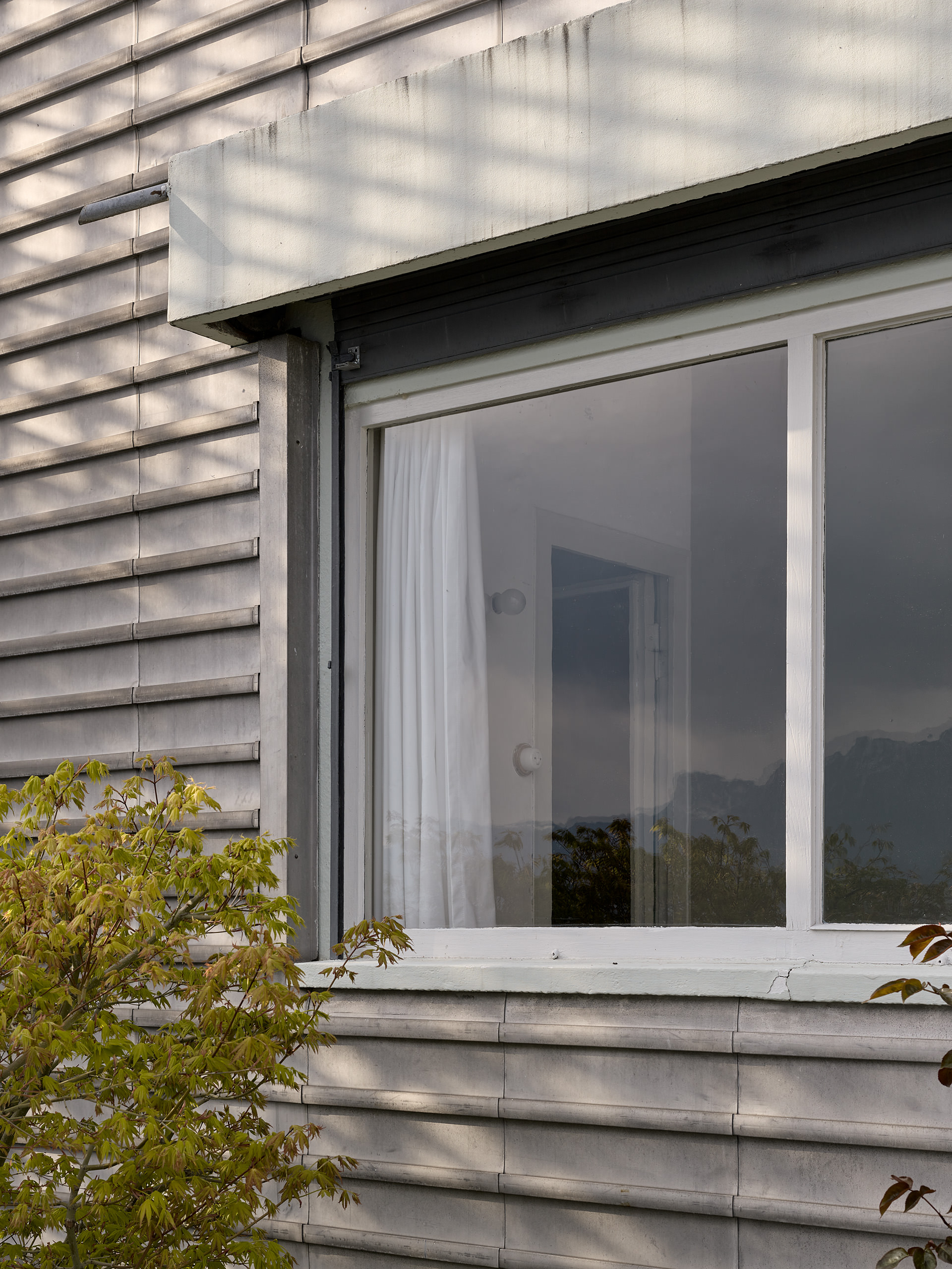 Ahp0038 alpa 113197 C